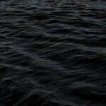 Foto von Mike Yukhtenko auf Unsplash