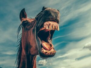 Foto von Mikael Kristenson auf Unsplash