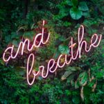 Foto von Max van den Oetelaar auf Unsplash