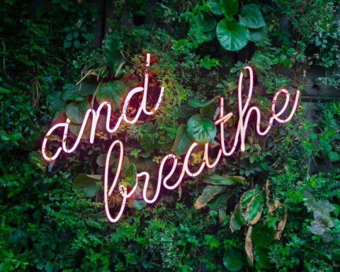 Foto von Max van den Oetelaar auf Unsplash