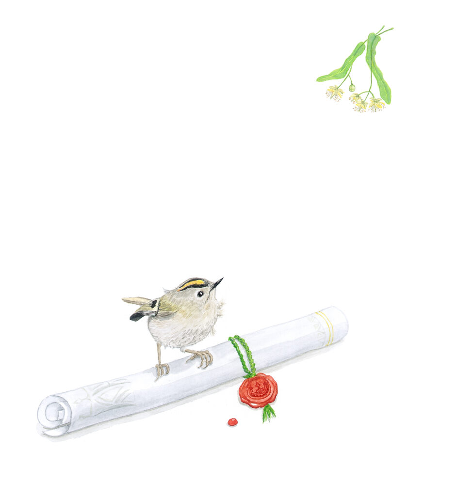 (c) Almuth Mota / www.byhand.at